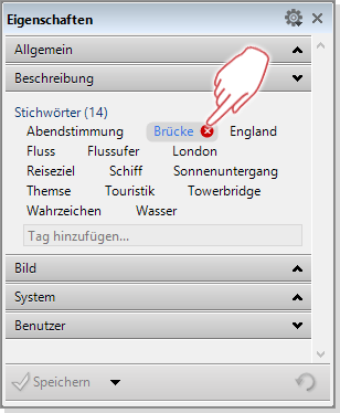 Eigenschaften Panel in Daminion - Stichwort entfernen