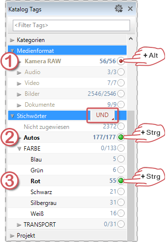 Stichwort Anzeige im Katalog Tags Panel