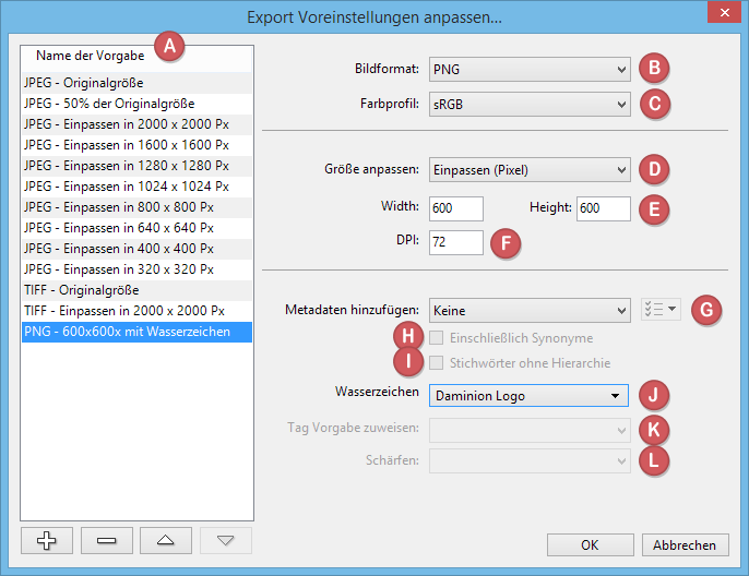 Export Voreinstellungen Dialog