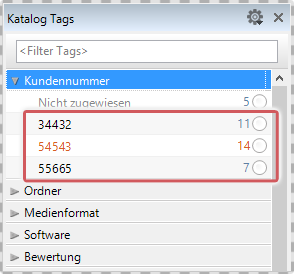Anzeiger benutzerdefinierter Tags im Katalog Tags Panel