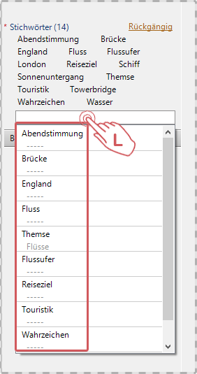 Eigenschaften Panel in Daminion -Neues Stichwort hinzufügen