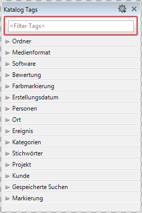 Filter Option im Katalog Tags Panel