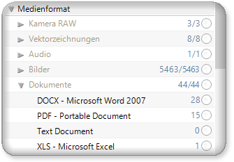 Daminion Multiformatunterstützung