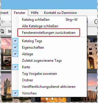 Fenstereinstellungen in Daminion zurücksetzen
