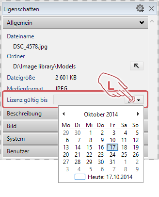 Ein Lizenz-Ablaufdatum setzen im Eigenschaften Panel - Datumsauswahl