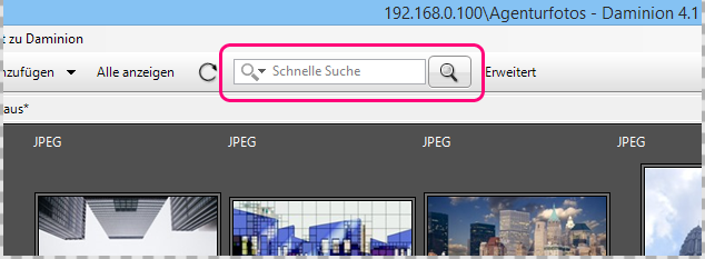 Die Schnelle Suche Funktion in Daminion