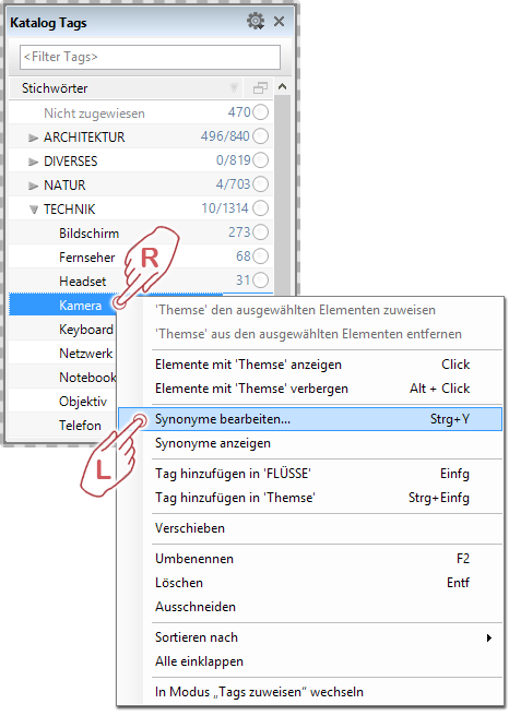 Synonyme im Katalog Tags Panel