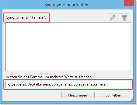 Synonyme bearbeiten Dialog