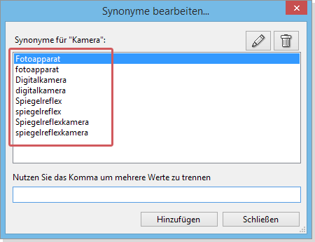 Synonyme bearbeiten Dialog in Daminion