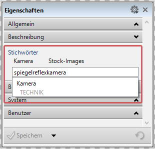 Eigenschaften Panel - Stichwort Anzeige